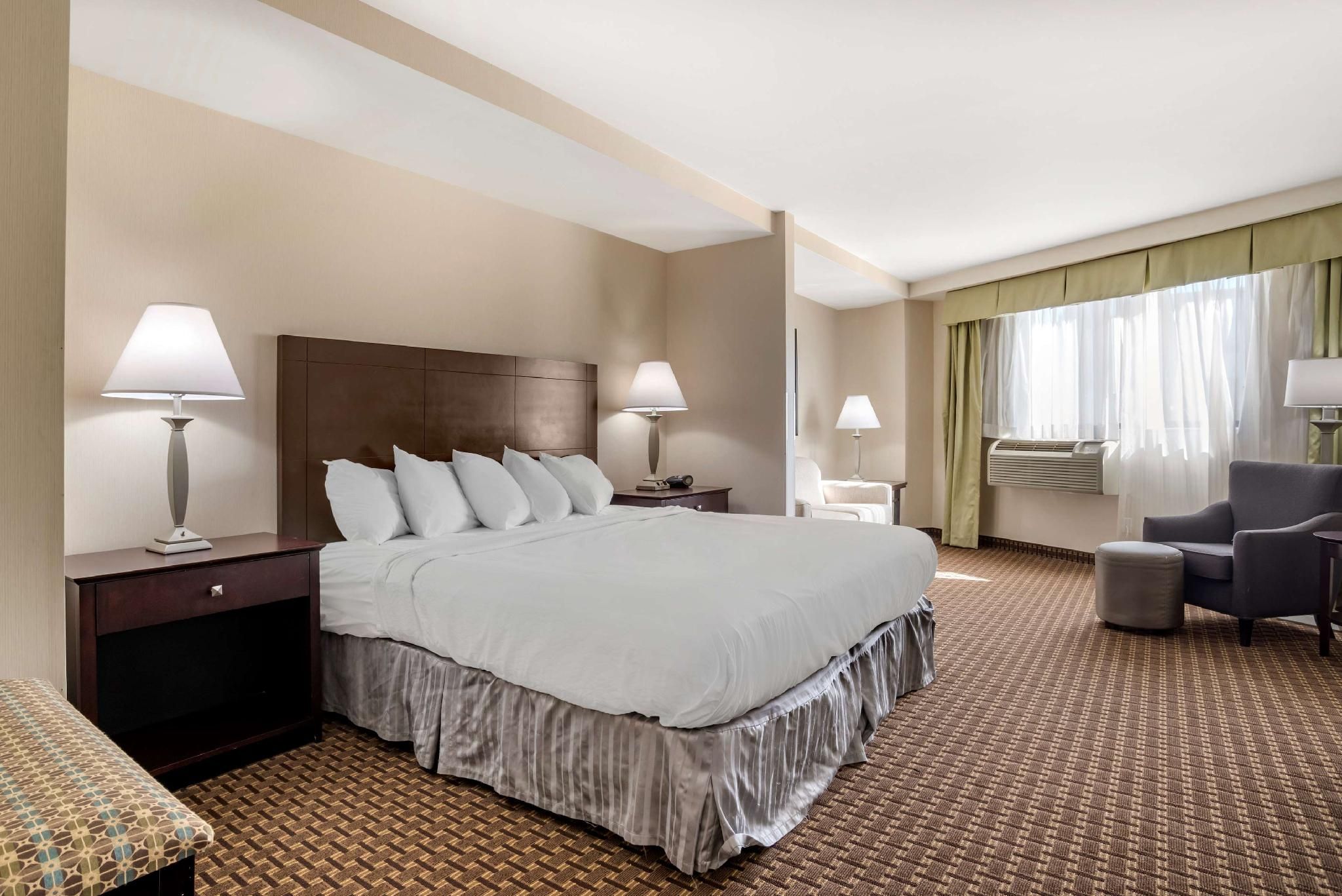 1 King Bed, Nonsmoking, Whirlpool, Sofabed