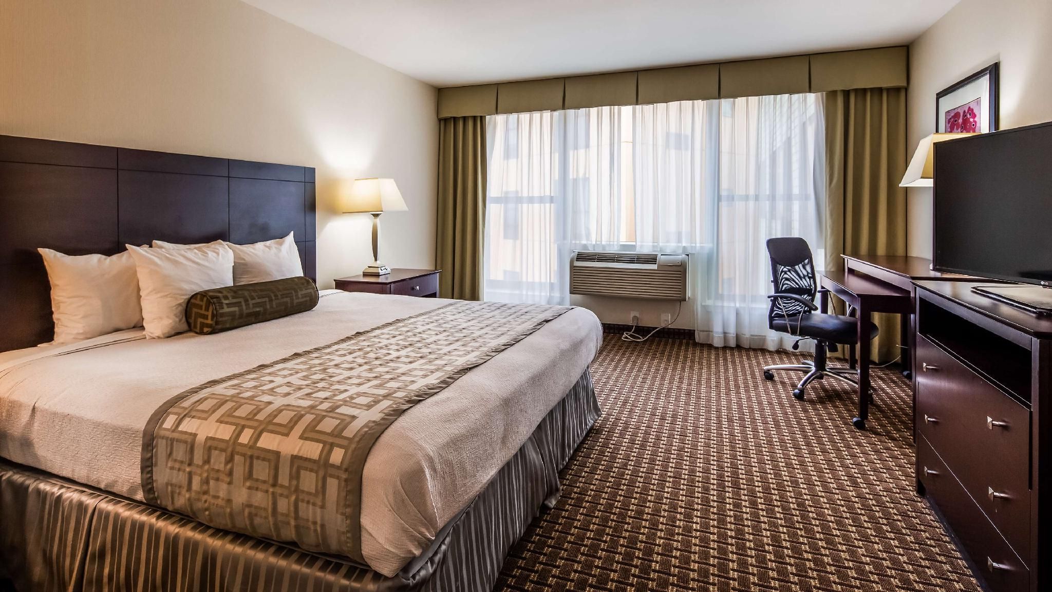 Accessibility - 1 King Bed, Roll-in Shower, Nonsmoking