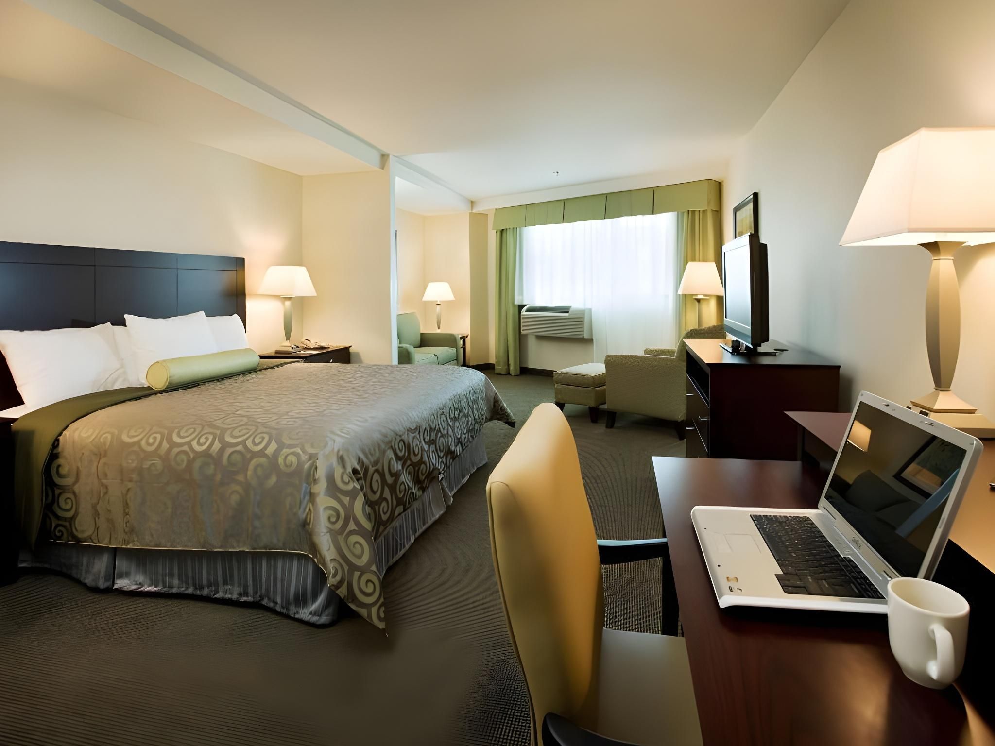 1 King Bed, Nonsmoking, Business Plus Suite, Sofabed