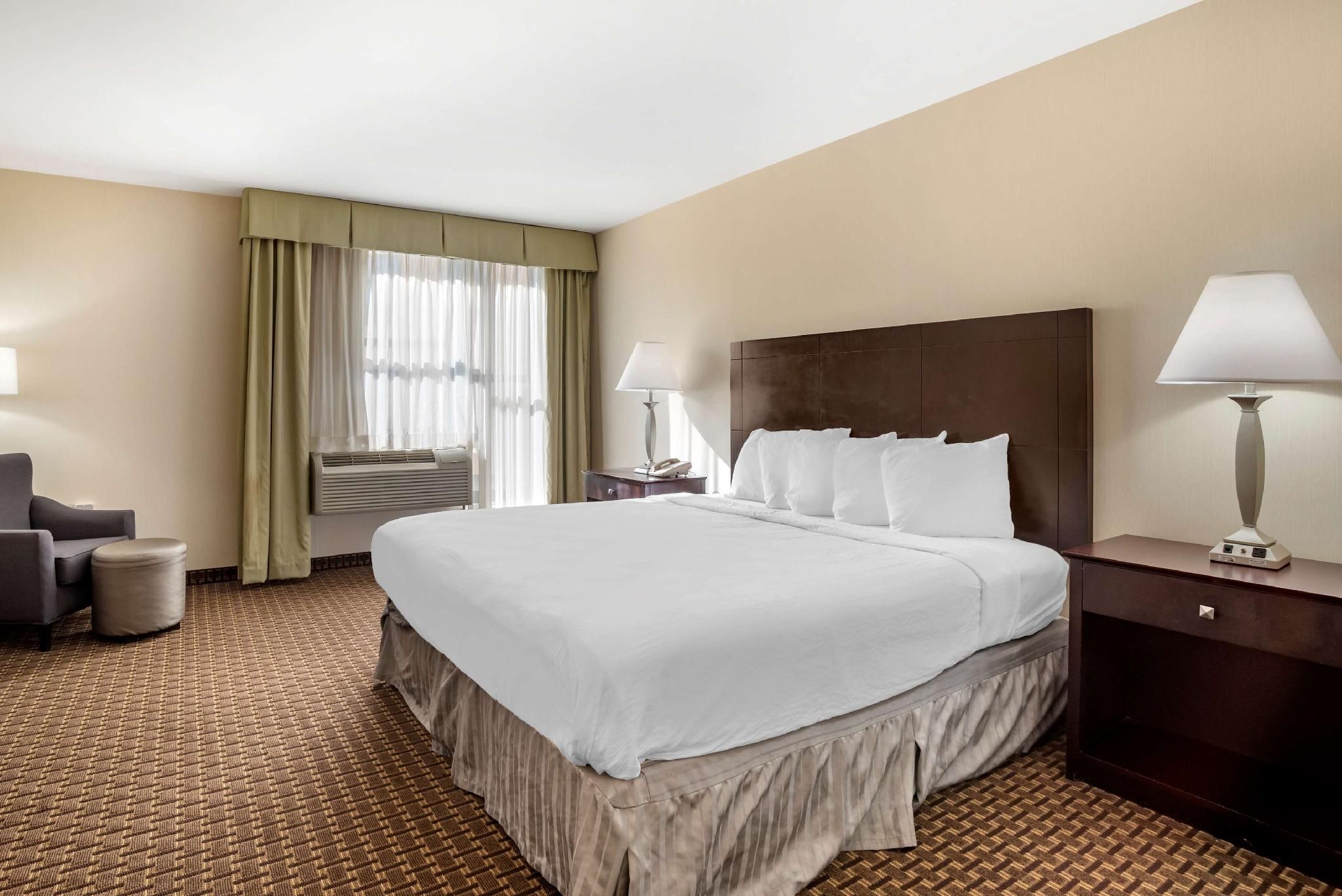 Accessibility - 1 King Bed, Roll-in Shower, Nonsmoking