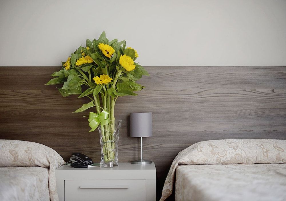 Grand Hotel Mediterranée Double Room Single Use 2