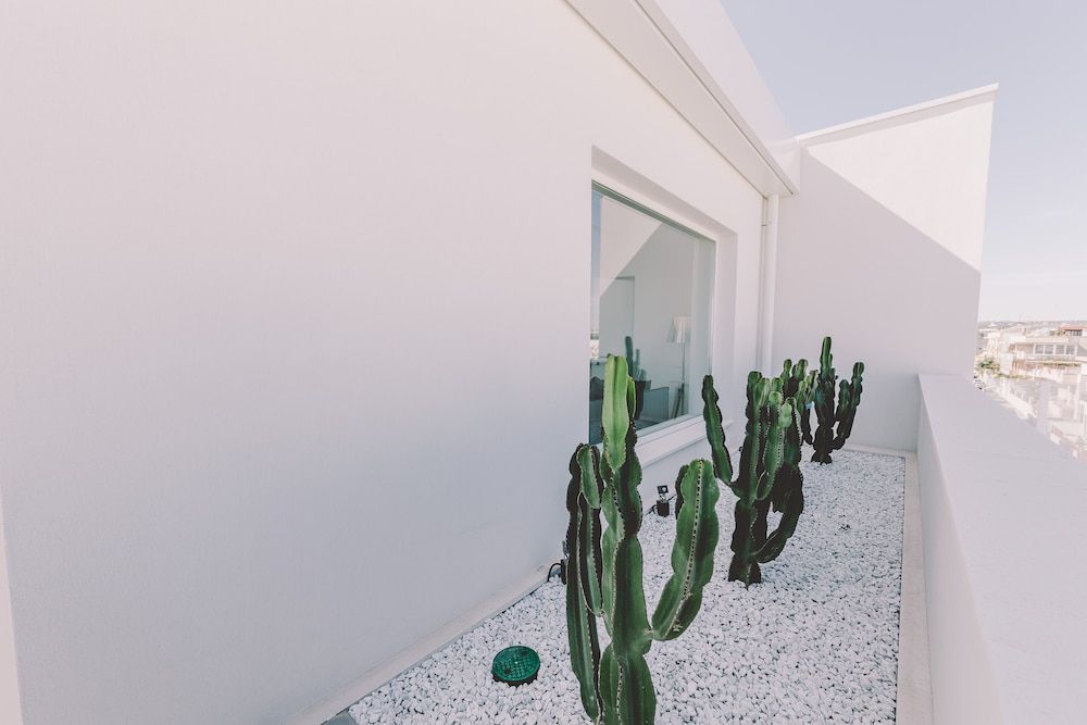 Suite 10 Luxury Suite, Multiple Beds, Sea View 19