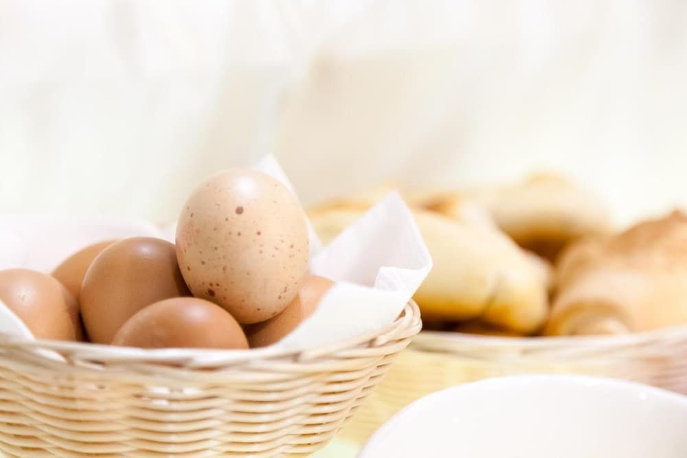 undefined Suite Dal Conte 8