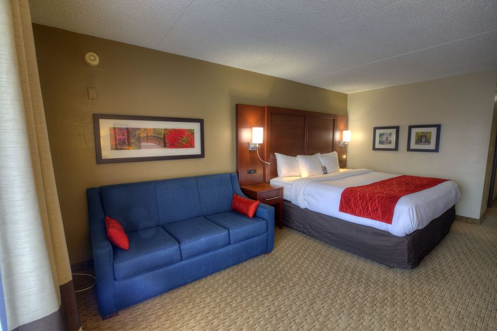 Standard Room, 1 King Bed, Non Smoking