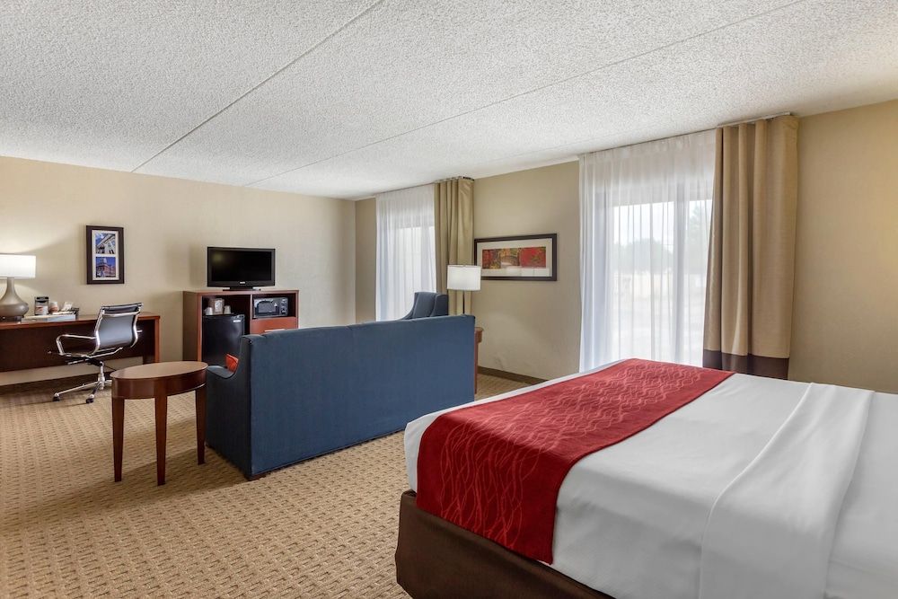 Standard Room, 1 King Bed with Sofa bed, Accessible, Non Smoking (Roll In Shower)