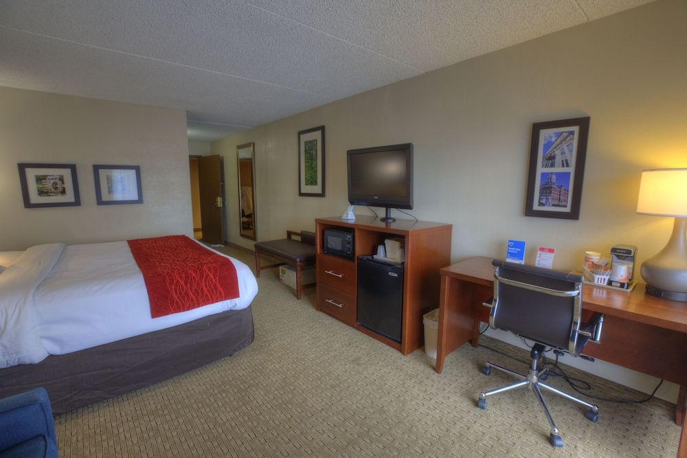 Standard Room, 1 King Bed, Non Smoking