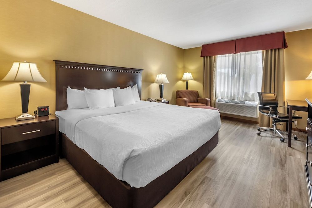 Room, 1 King Bed, Non Smoking, Jetted Tub