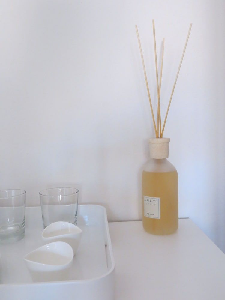 Toscanelli Residenza D'epoca Standard Twin Room, City View (Ponte Vecchio) 6