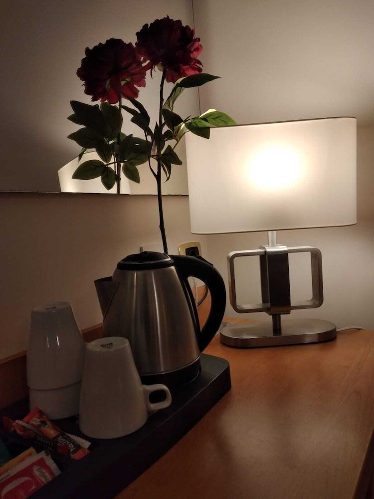 Hotel Principe Eugenio Double Room 14