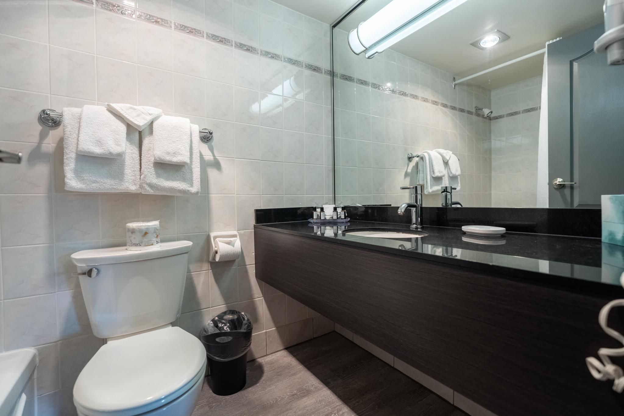 Premium One-Bedroom Apartment