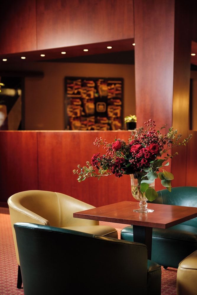 undefined Hotel Barchetta Excelsior 10