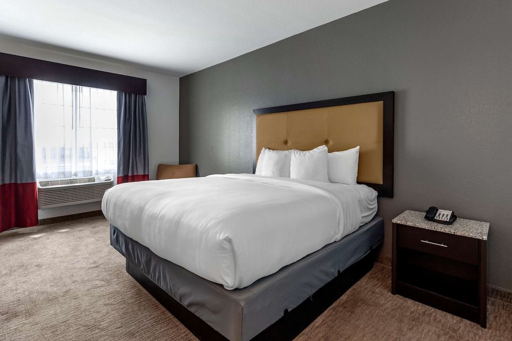 Standard Room, 1 King Bed, Non Smoking