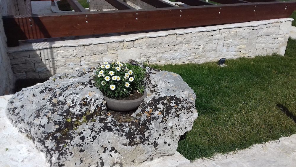 undefined Agriturismo Nonna Rosa 8