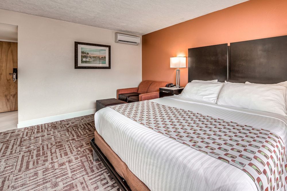 Room, 1 King Bed