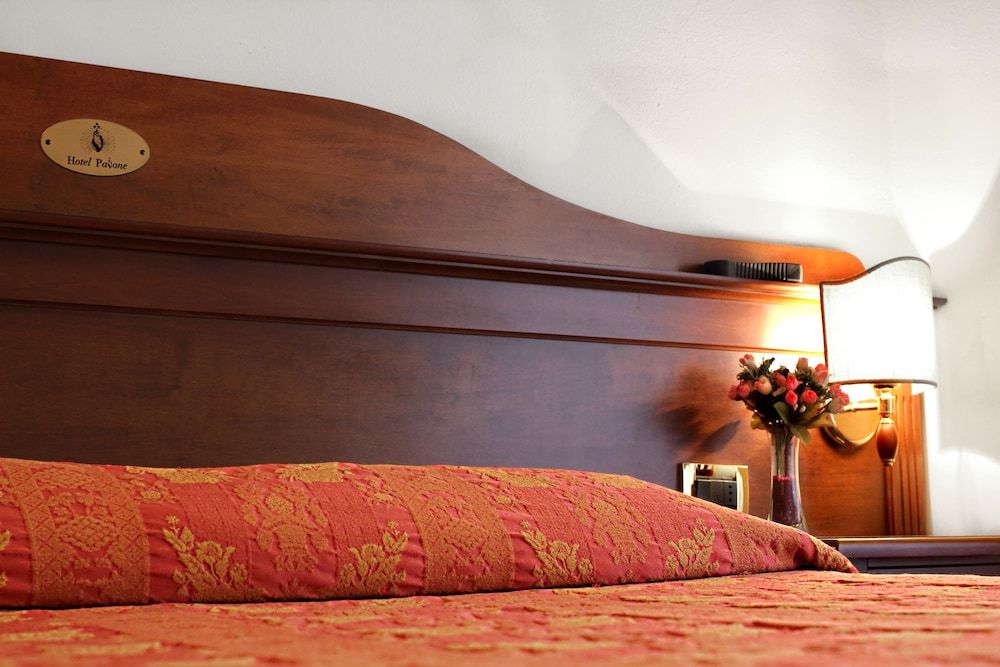Hotel Pavone Basic Double Room 4