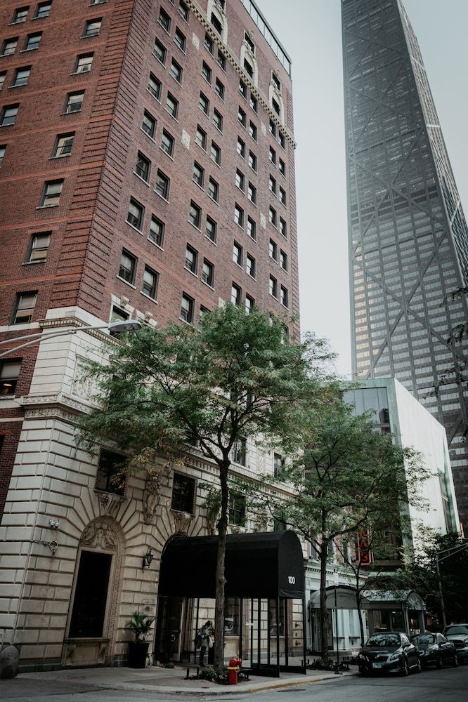 undefined Selina Chicago