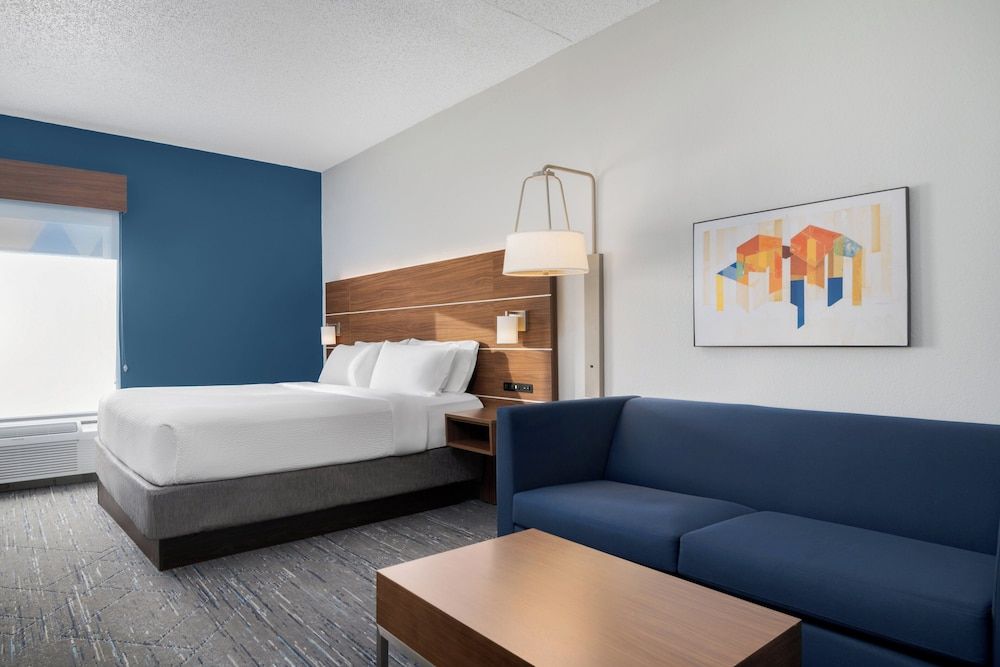Suite, 1 King Bed with Sofa bed