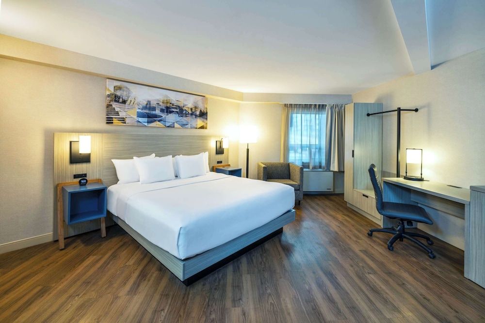 Room, 1 King Bed