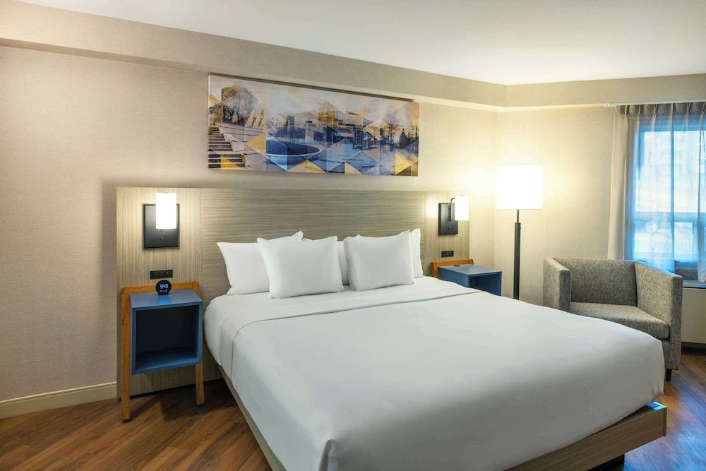 Room, 1 King Bed