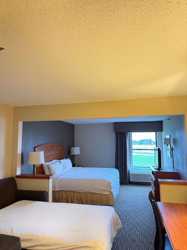 Standard Room, 1 King Bed, Accessible, Refrigerator & Microwave (with Sofabed)