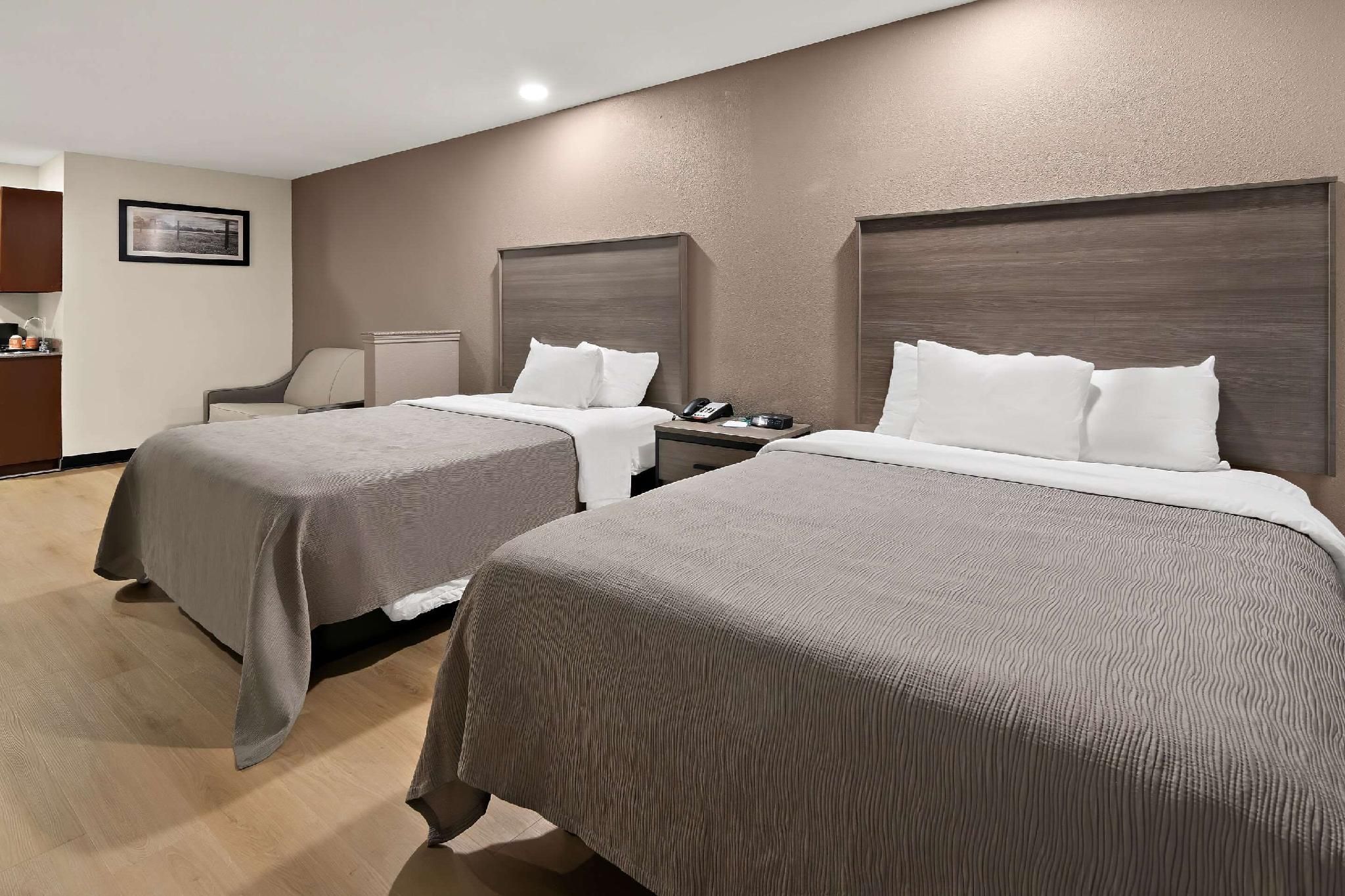 Suite -2 Queen Beds, Non Smoking