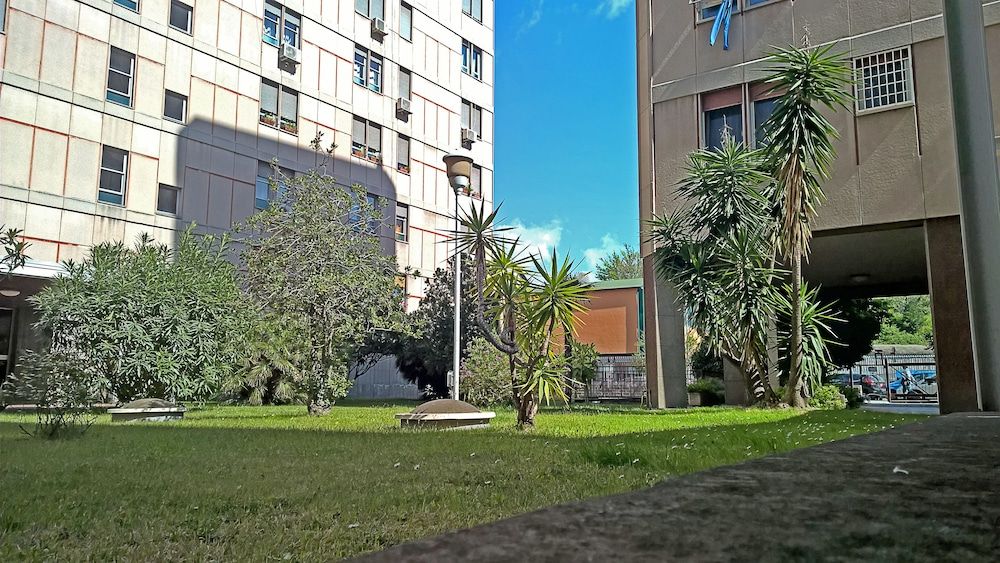 undefined Ecolodge Coppola Guesthouse 3