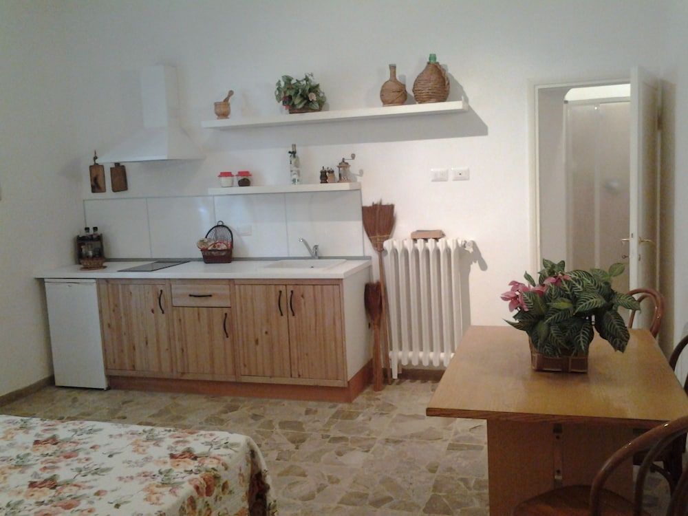 undefined Little Garden Donatello 2