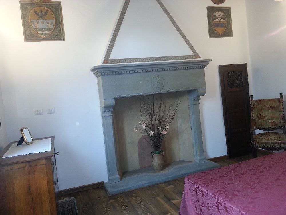 undefined Little Garden Donatello 5