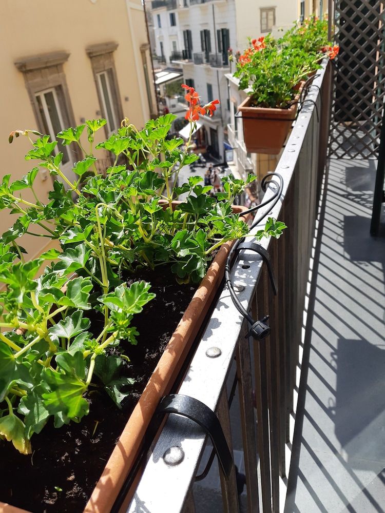 Hotel Antica Repubblica Junior Studio Suite, 1 Bedroom, Balcony, City View 8