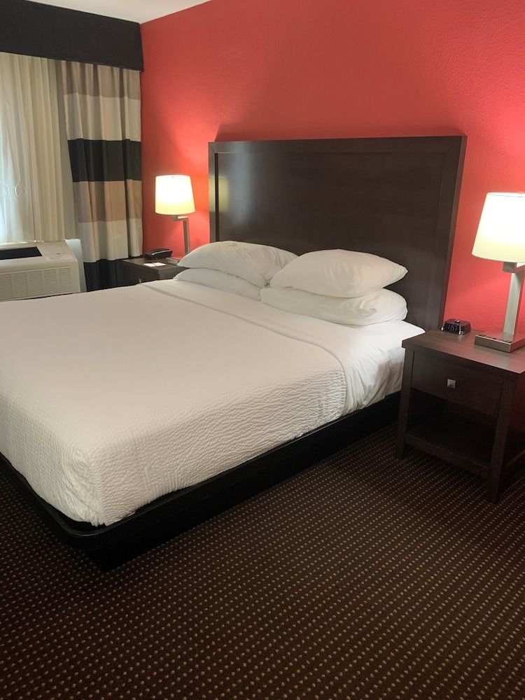 Standard Room, 1 King Bed, Lake View