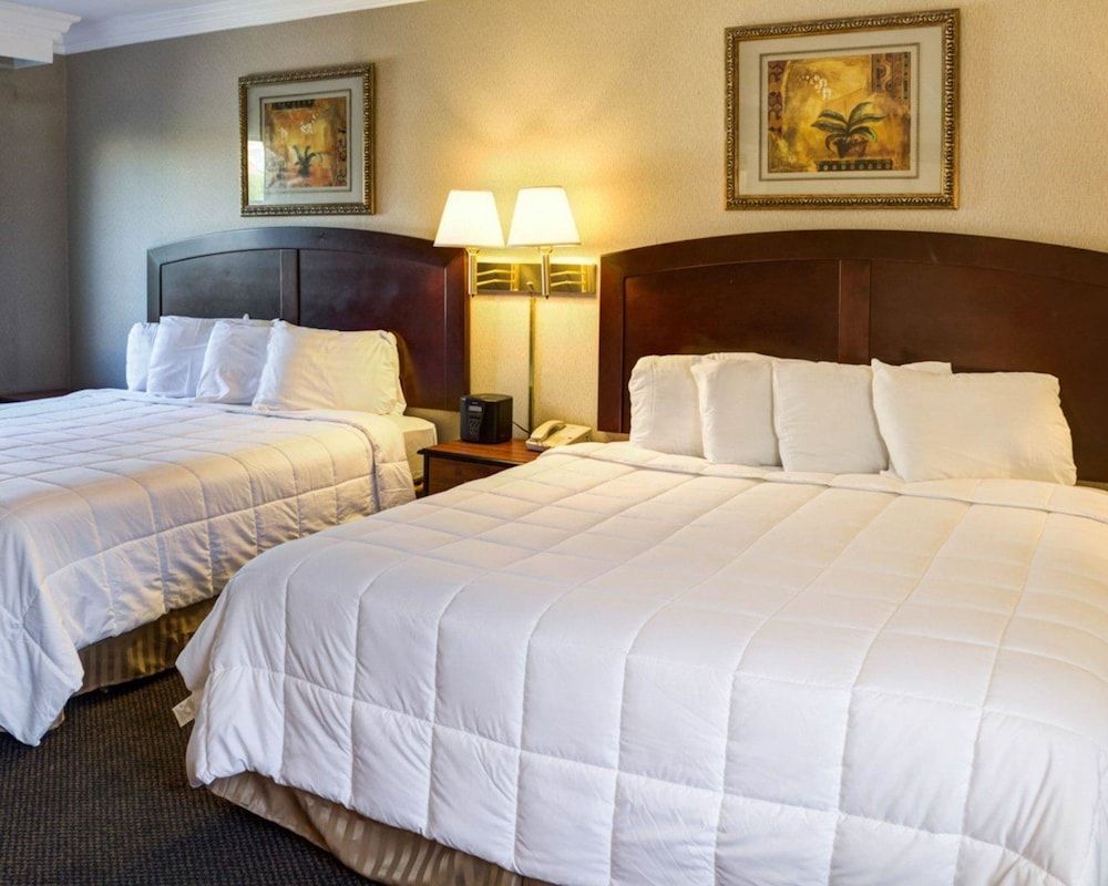 Rodeway Inn near Venice Beach Room, Multiple Beds, Non Smoking 3