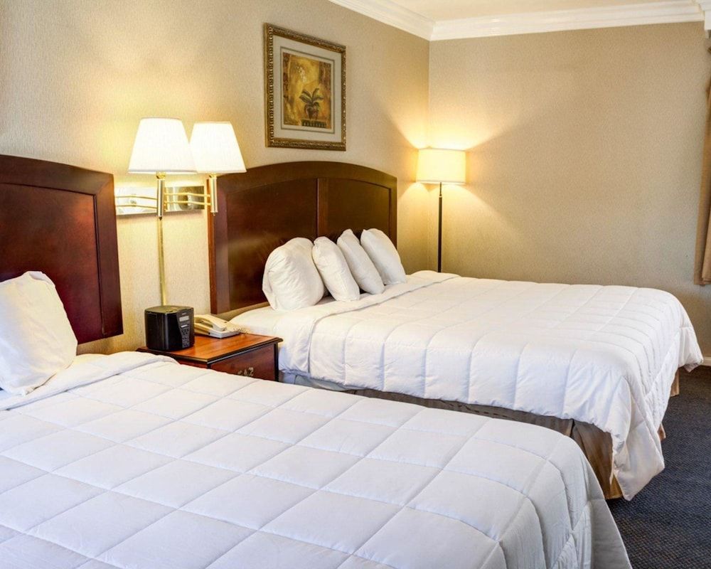 Rodeway Inn near Venice Beach Room, Multiple Beds, Non Smoking 2