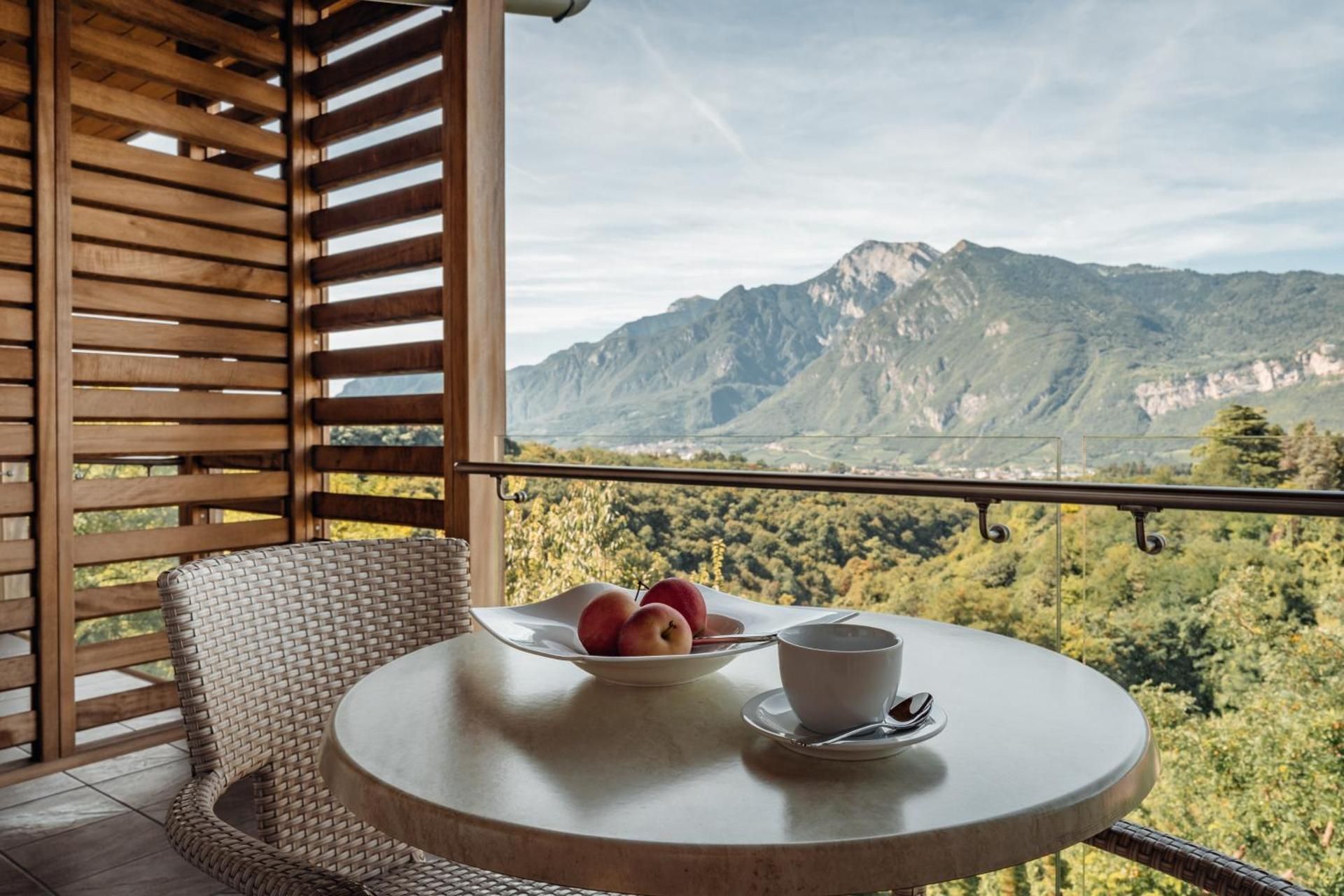 Double or Twin Room with Mountain View