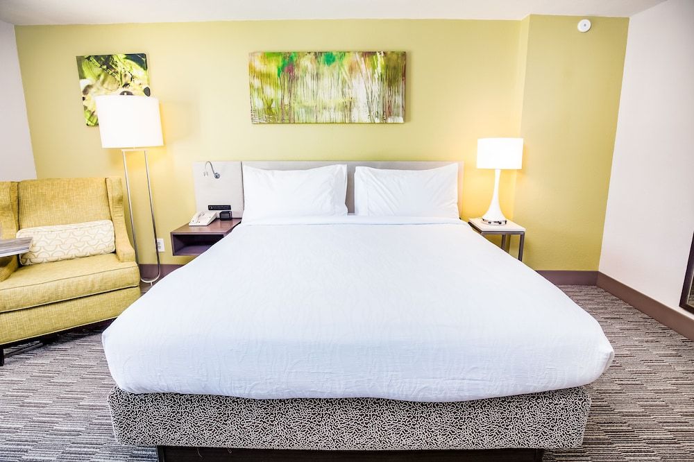 Room, 1 King Bed, Accessible, Bathtub (Mobility & Hearing)