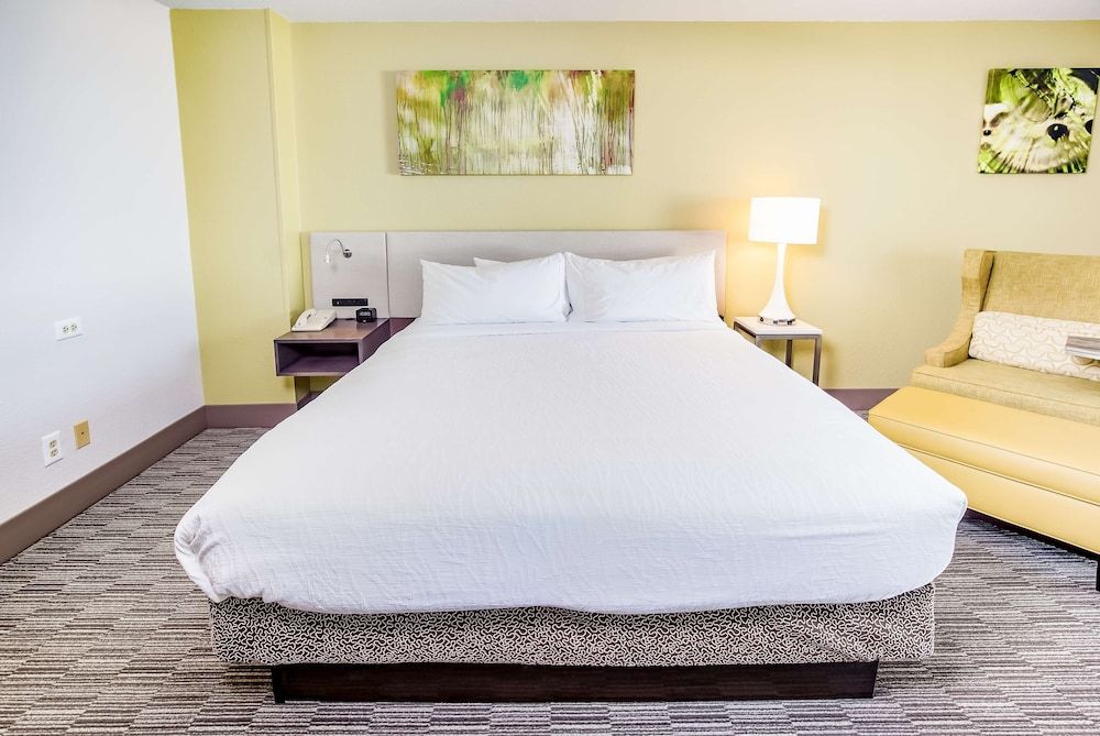 Suite, 1 King Bed