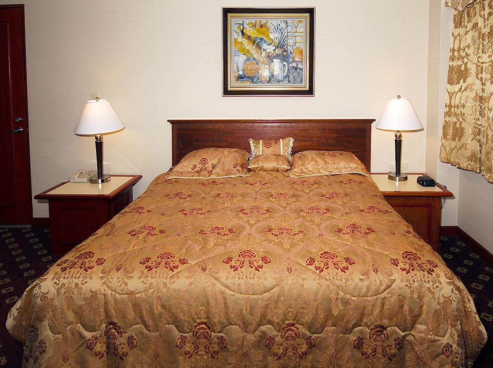 undefined Metro Plaza Hotel 10