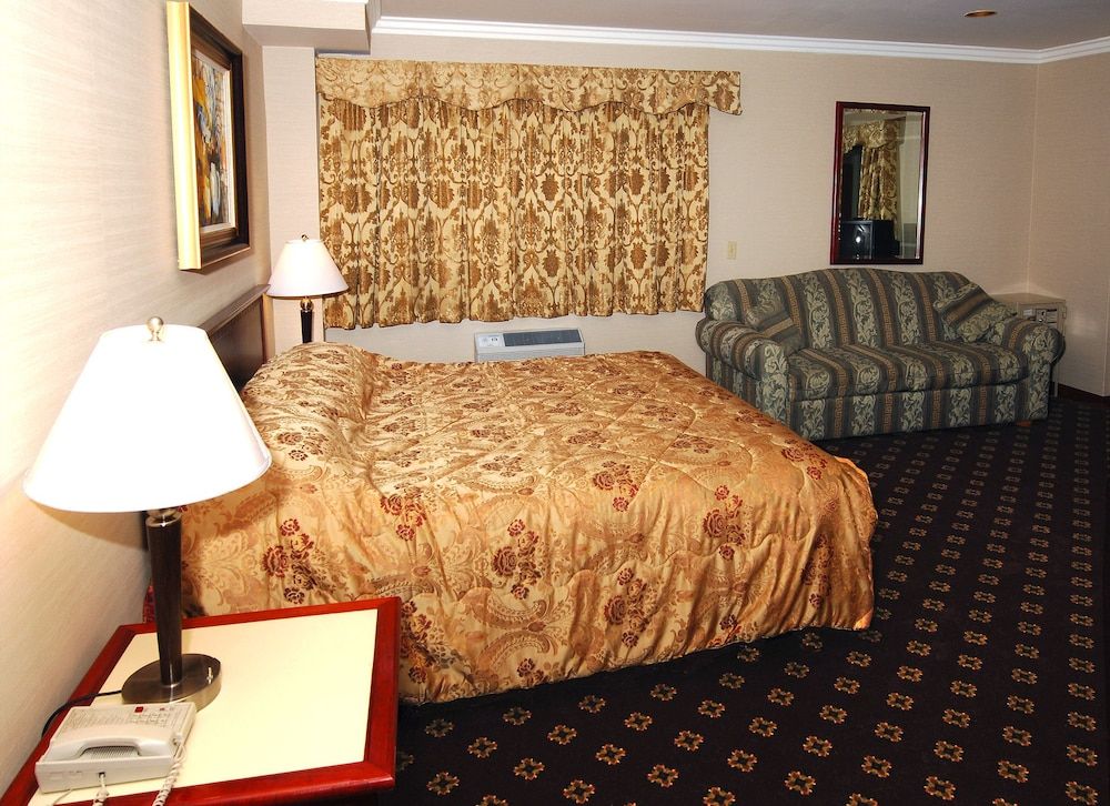 undefined Metro Plaza Hotel 9