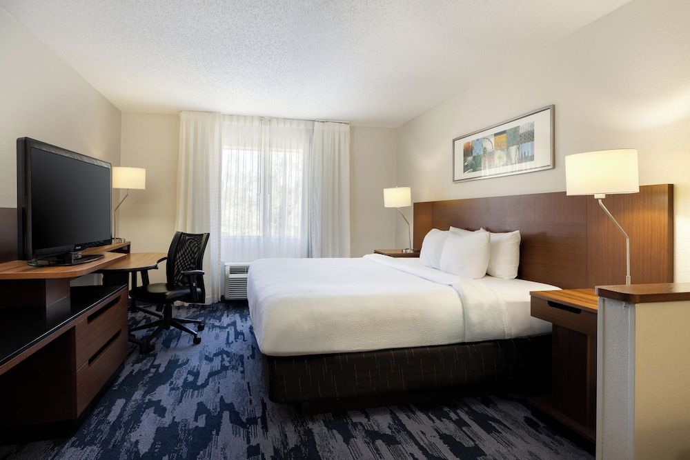 Room, 1 King Bed with Sofa bed