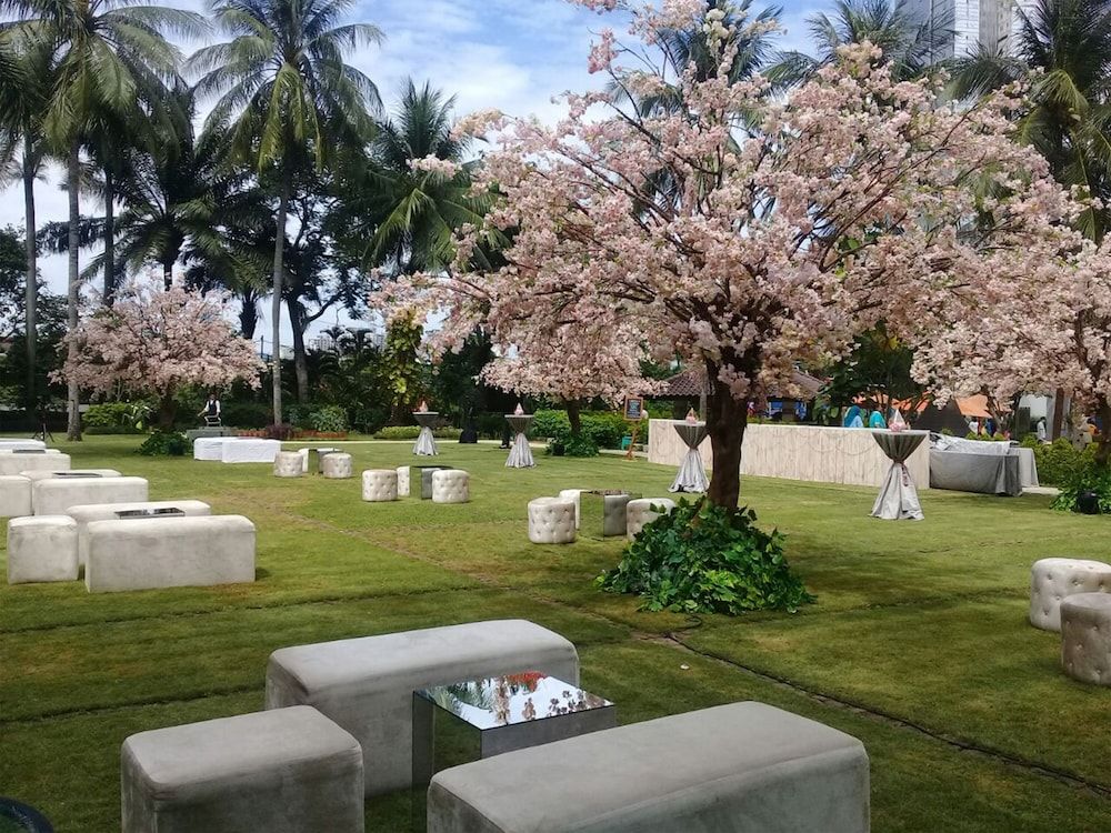 Outdoor wedding area