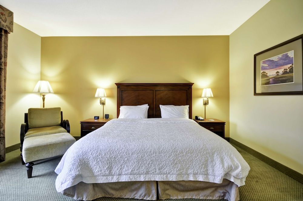 Room, 1 King Bed, Accessible