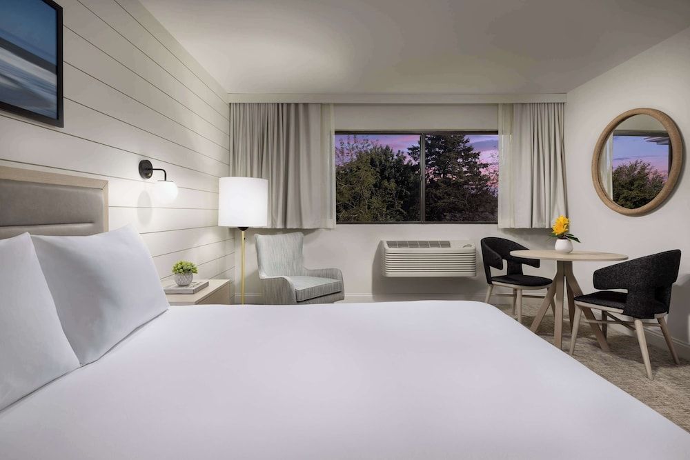Room, 1 King Bed