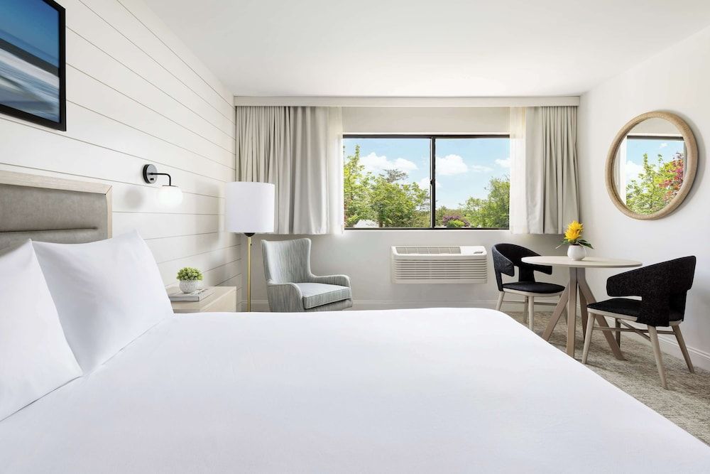 Room, 1 King Bed, Accessible, Bathtub