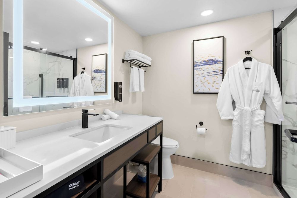 Suite, 1 King Bed, Non Smoking, Kitchen (Walk-in Shower;with Sofabed)