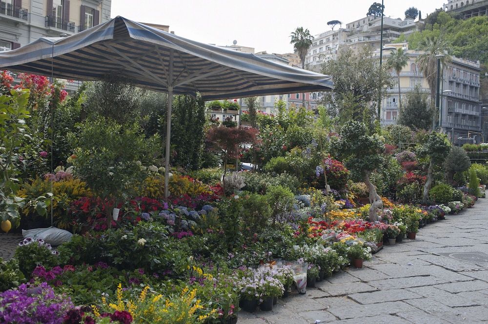 undefined Areamare Bed & Breakfast 5