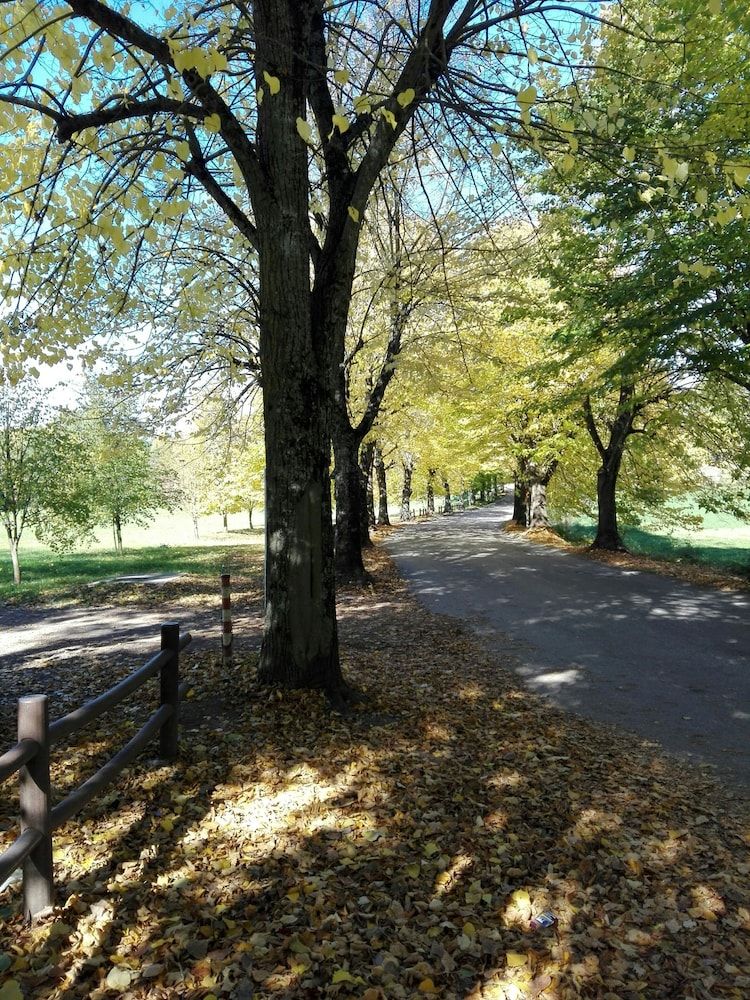 undefined B&B Dante e Beatrice 3