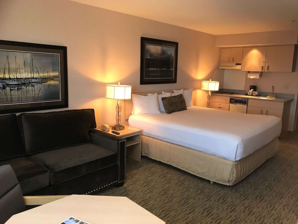 Suite, 1 King Bed