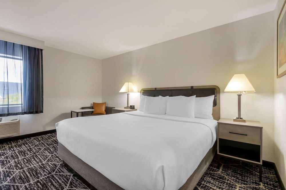 Room, 1 King Bed, Non Smoking