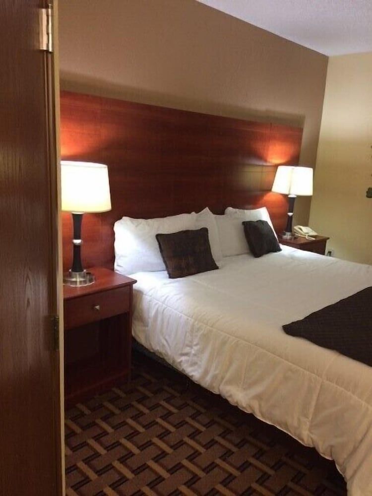Room, 1 King Bed, Non Smoking