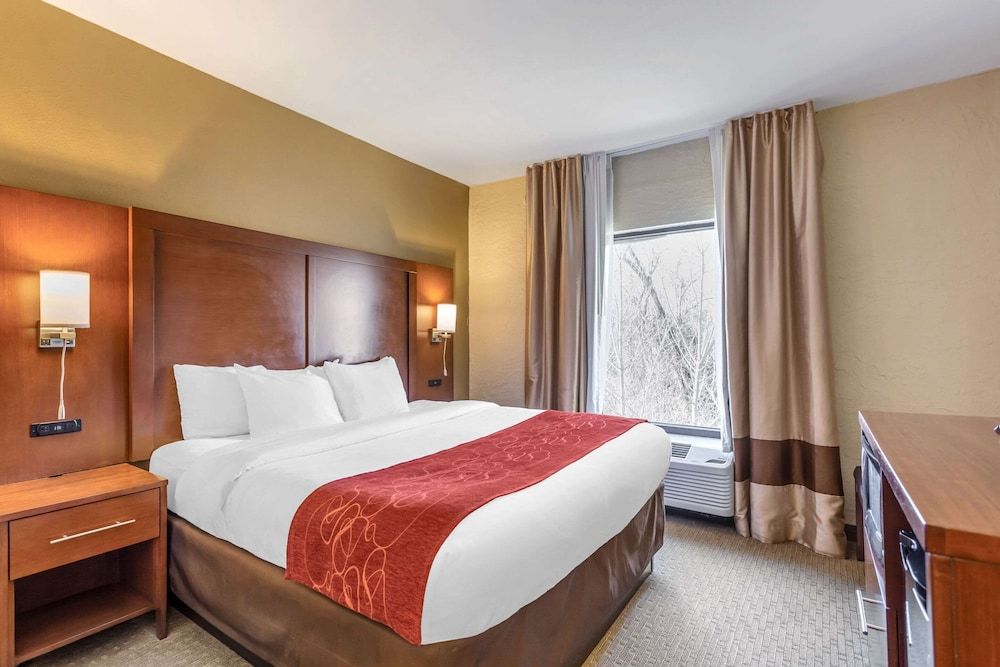 Suite, 1 King Bed with Sofa bed