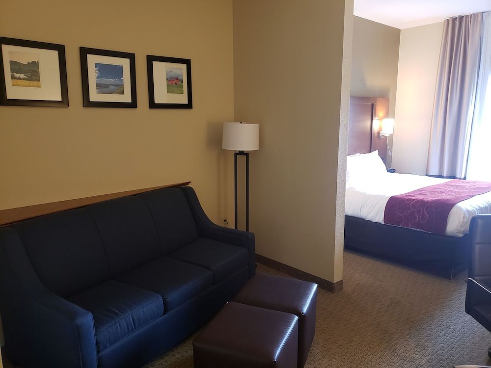 Suite, 1 King Bed with Sofa bed